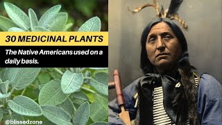 30 Medicinal Plants The Native Americans Used On a Daily Basis  Blissed Zone [upl. by Hcaz]