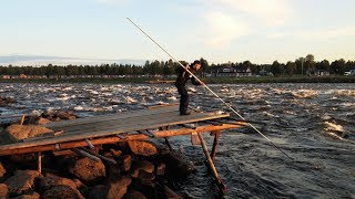 Kukkolankoski  Kukkolaforsen  Fishing [upl. by Ecinreb]