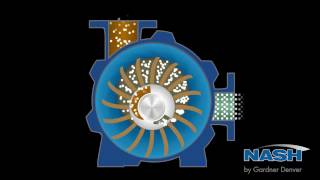 NASH Liquid Ring Vacuum Pump  How It Works [upl. by Whitver]