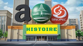 Histoire de Amazon Saudi Aramco Sinopec [upl. by Nnaeirual]