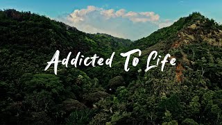 Kolohe Kai  Addicted to Life Official Music Video [upl. by Sula652]