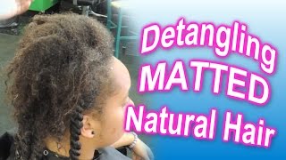 559  Detangling MATTED amp TANGLED Natural Hair [upl. by Schuman227]