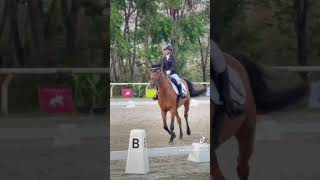 My first time Dressage at Queen’s Cup Preliminary Dressage competition equestrian dressage [upl. by Vyse]