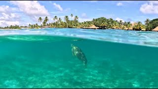 Kuredu Island  Maldives Vacation 2023 4k [upl. by Hannasus]