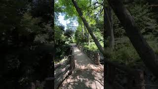 Cicadas at the park in Tokyo Japan [upl. by Oiziruam79]