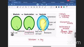 LEC ON EMBRYOLOGYOVARYEGGampCLEAVAGE BY MILAN GAIRHE [upl. by Eelrac240]