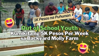 Out of School Youth Kumikita ng 5K Pesosweek sa Backyard Molly Farm [upl. by Atalante]