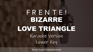 Frente  Bizarre Love Triangle Karaoke Songs With Lyrics  Lower Key Acoustic Guitar [upl. by Nezah]