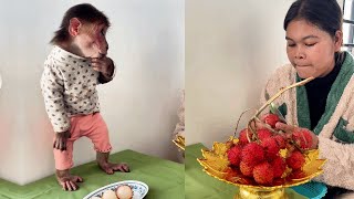 See this funny monkey Icy Are Eating Snack With Mom cute monkey animals eating [upl. by Lienahs263]