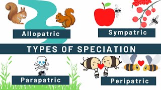 Speciation Allopatric Sympatric Peripatric Parapatric Types of speciation Examples [upl. by Apoor928]