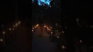 Vrindavan Dham Hamare Ashram ka night view music song [upl. by Sair]