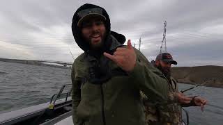 Columbia River Sturgeon Fishing [upl. by Nadine545]