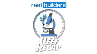 The Next Generation of Reefing  Reef Recap wSalem Clemens [upl. by Ramirolg159]