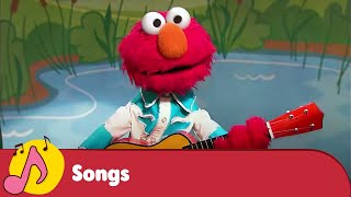 Quack Quack  123  Kids Song  Sesame Workshop India [upl. by Kerril]