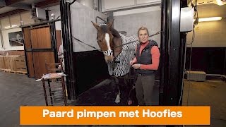 Paard pimpen met Hoofies  WINACTIE  PaardenpraatTV [upl. by Syned]