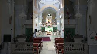 Sardhana church meerut shorts sardhanachurch meerut jesus song [upl. by Dnyletak]