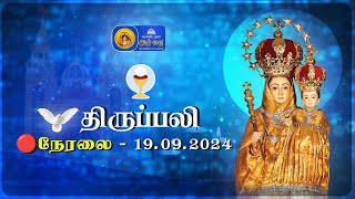 🔴 LIVE  Holy Mass in Tamil  19th September 2024  Annai Vailankanni Shrine  Besant Nagar Annai [upl. by Garland]