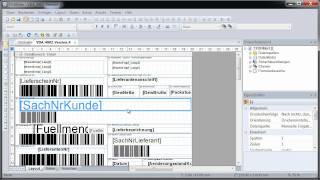 VDA4902 Labels und KLT Warenanhänger drucken TFORMer Designer [upl. by Nuahs]