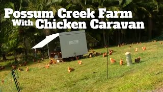 Possum Creek Farm with Chicken Caravans [upl. by Guthrie]