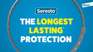 The Longest Lasting Flea amp Tick Protection with Seresto Now That Doesnt Suck 15s [upl. by Garretson]