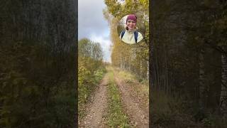 Beautiful Sunday in October with wild rose berries and yellow maple russiangirlinenglish hiking [upl. by Garrett]