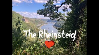 The Rheinsteig Rhine River  Solo Hiking 200 miles 320 KM  Wildcamping  Germany  Movie [upl. by Puglia196]