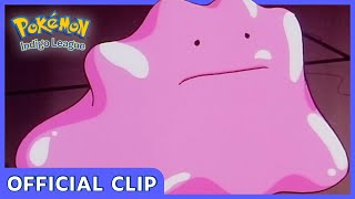 Duplica and Ditto  Pokémon Indigo League  Official Clip [upl. by Mcfarland820]