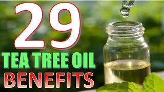 29 Life hacks Uses and Benefits of Tea tree Oil YOU NEED TO KNOW [upl. by Virge]