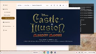 How to Install Game Castle Of illusion On Chromebook [upl. by Fasto174]