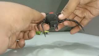 Toys for Pranks imalidotcom robotic Alive scary spider running Hamster Hexbug Bug scary realistic [upl. by Udela]