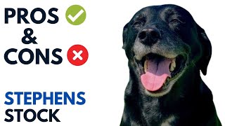 Stephens Stock Dog Pros and Cons  Stephens Mountain Cur Advantages and Disadvantages [upl. by Nay675]