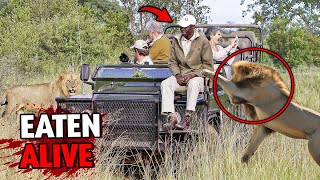 5 Most DISTURBING Animal Attacks at Kruger National Park [upl. by Koeninger959]