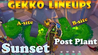 Top 15 Sunset Gekko Post Plant Lineups  Gekko Lineups Sunset  Gekko Mosh Pit on Sunset [upl. by Caye]