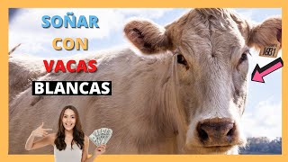 🤍🐮 que SIGNIFICA SOÑAR con VACAS BLANCAS 🤑🐮 [upl. by Wait]