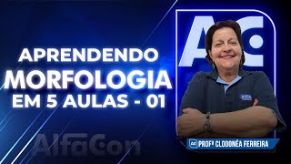 APRENDA MORFOLOGIA EM 5 AULAS  AULA 15  AlfaCon [upl. by Assek415]