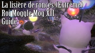 Roi Mog  La lisière de ronces Extrême Guide  Final Fantasy XIV  A Realm Reborn ARR30 [upl. by Zoi]