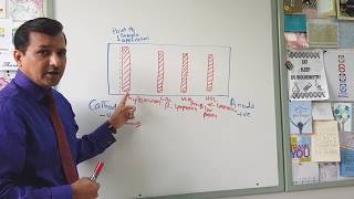 Lipoprotein Electrophoresis [upl. by Anibor]