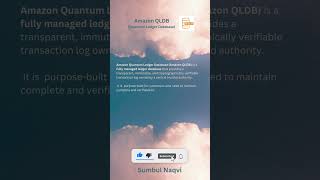 AWS Amazon QLDB Quantum Ledger Database aws certification exam ccp saa database [upl. by Abebi]