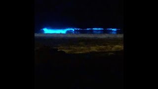 Bioluminiscencia sorprende en algunas playas de Ecuador [upl. by Alehcim]