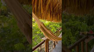 Stunning Views from the Cabanas at Jardin Secreto Tayrona  OffGrid Paradise in Colombia [upl. by Alikee]