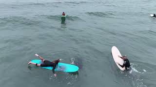 July 11 2024 Complete Raw Unedited Drone Sammy the Seal Surfing Session [upl. by Fritzie]