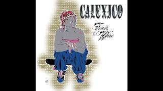 Calexico  Feast of Wire 20th Anniversary Deluxe Edition 2023 [upl. by Hannus]