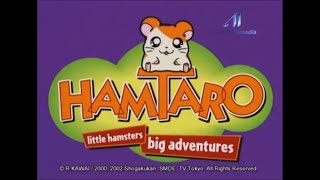 Hamtaro Opening 2 edited [upl. by Hyacinthe]