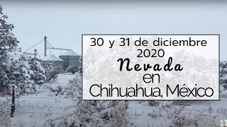 Nieve en Chihuahua MEXICO  Campos Menonitas [upl. by Monah]