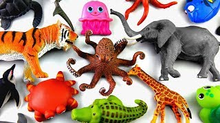 Learn Wild Zoo Animals Names Safari Animals Names Education For Kids [upl. by Burnard]