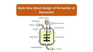 Basic design of fermentor or Bioreactor  fermentor vs fermenter  hindi  Bioreactor  Fermentor [upl. by Nnaynaffit572]