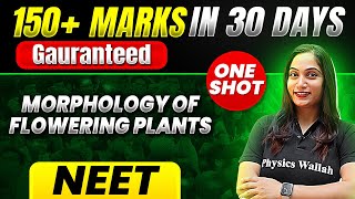 150 Marks Guaranteed MORPHOLOGY OF FLOWERING PLANTS  Quick Revision 1Shot  Botany for NEET [upl. by Asenev]