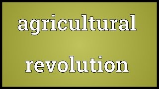 Agricultural revolution Meaning [upl. by Enilekcaj310]