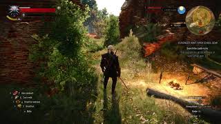 Witcher 3 Wild Hunt How to get into Castle Ruins Viper School Gear Elements [upl. by Onirefes]