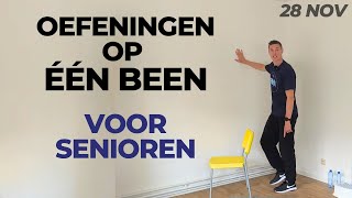 Oefeningen op één been voor OUDEREN uitdagend Spierkracht verbeteren voor 60plussers [upl. by Natsreik]